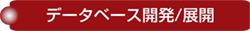 データベース開発/展開